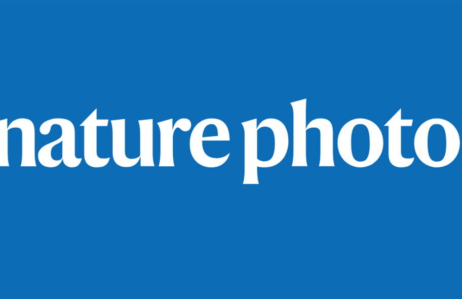 劉小鋼院士，最新Nature Photonics！