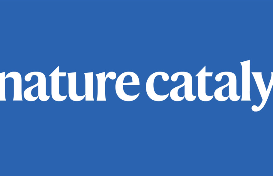 廈門大學(xué)/湖北大學(xué)，Nature Catalysis！