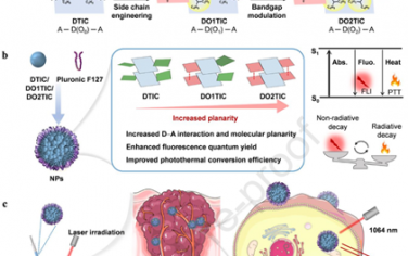 Biomaterials：合理調(diào)控分子平面度可提高摩爾吸收率、NIR-II亮度和光熱效果以實(shí)現(xiàn)腫瘤光學(xué)診療