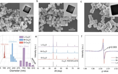 燕山大學&山西大學&南京林業大學Nature Commun：Cu0-Cu+協同電催化還原硝酸鹽合成氨