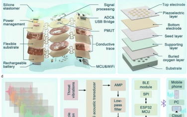 重慶大學Nature Commun：機器學習輔助可穿戴器件用于語音識別和互動