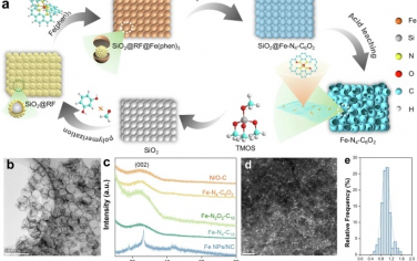 上海交大&華中師范大學&湖北大學Nature Commun：二級配位球調節Fe-N4-C6O2 單原子位點的Fe(IV)氧化活性